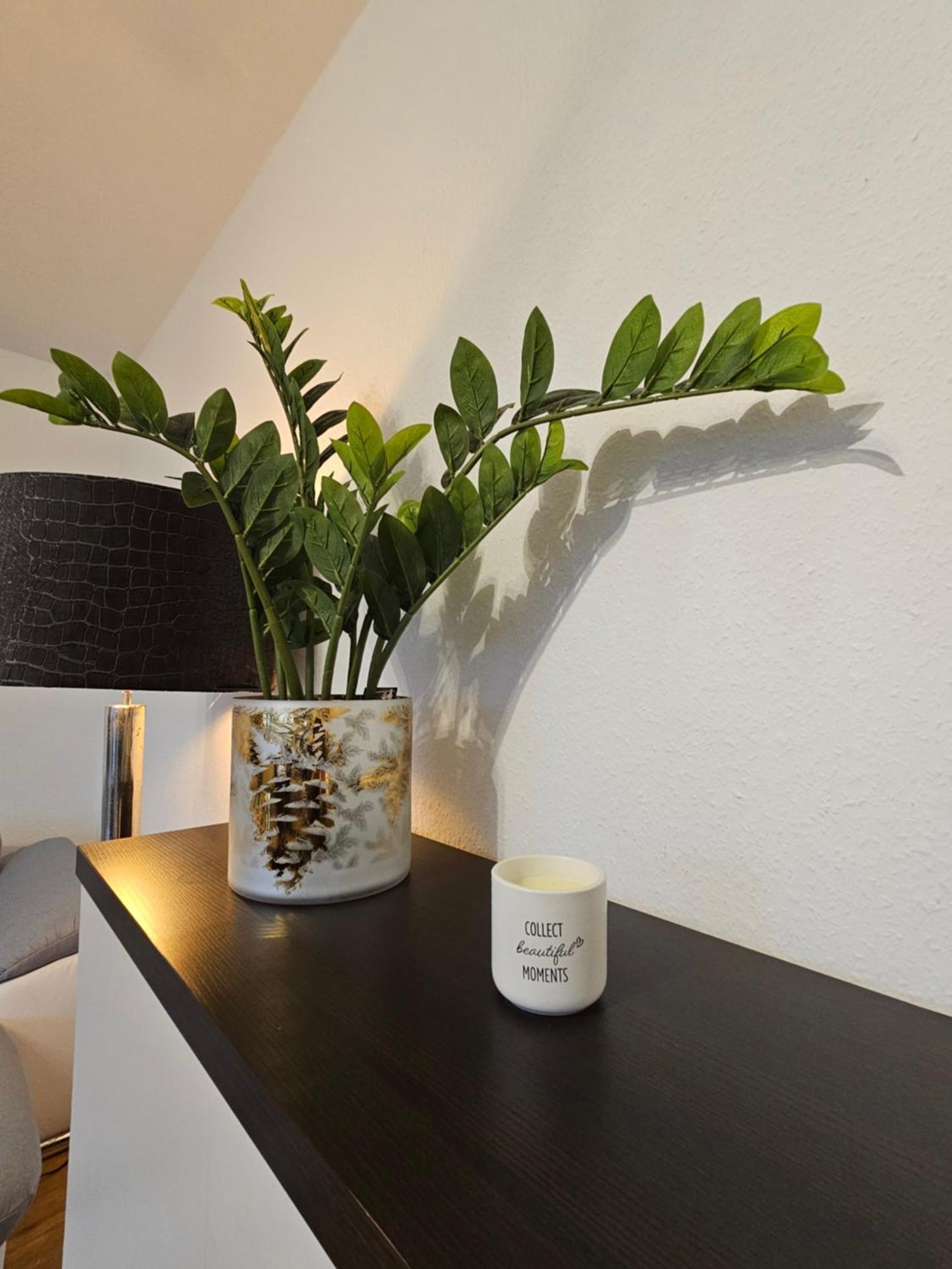 Ecocube Apartment2 Meppen14, Balkon, Kueche, Waschmaschine Phòng bức ảnh